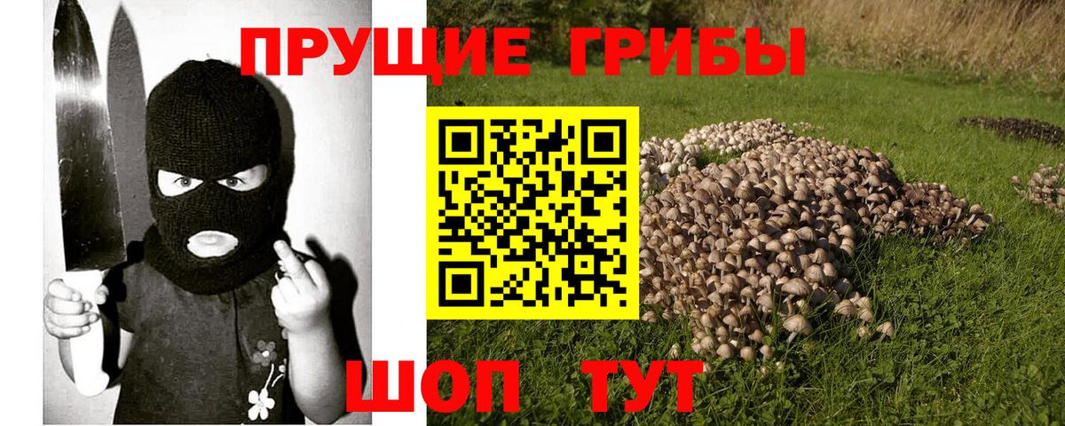 Псилоцибиновые грибы Psilocybine cubensis Ростов Великий
