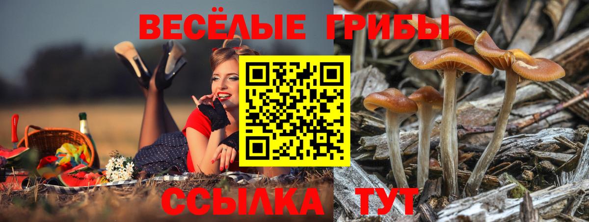 Ростов Великий  где купить   Вход с VPN  Галлюциногенные грибы мицелий 